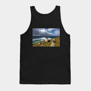 Lands End Tank Top